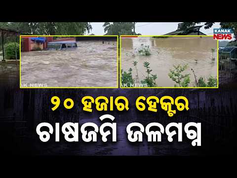 ବିପଦ ସଙ୍କେତ ଟପିଲା ଜଳକା | Flood Alert in Balasore! Jalaka Crosses Danger Mark