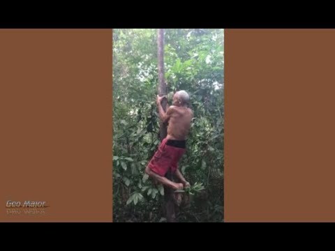 მოხუცი, რომელმაც ყველა გააოცა - ხეზე ასვლის საოცარი მეთოდი