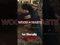 Stop Building with Wood! It's a waste! #arksurvivalascended #arkbeginnerguide #gaming #dinosaur