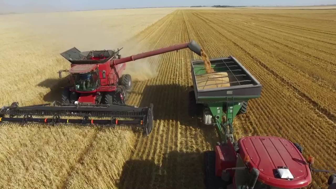 JERANDA HARVEST 2016