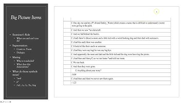 Understanding SALT Transcripts (2.23.2020)