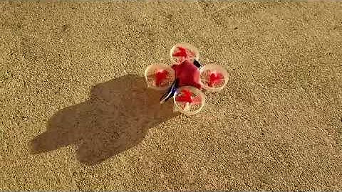 Inductrix FPV Plus mod