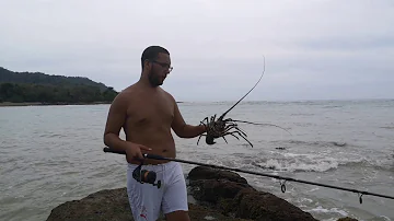 ¿Qué hace un pescador de langostas?