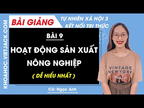 Tự nhiên xã hội lớp 3