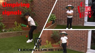 Umpiring Signals screenshot 2