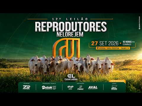 LOTE 05   AMJM 1309