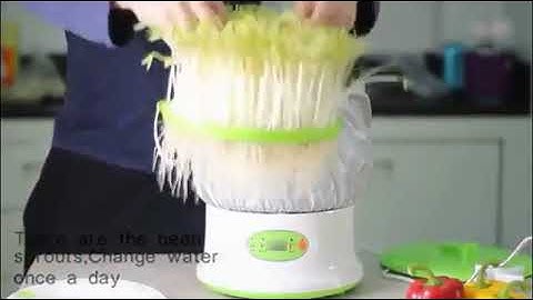 Automatic seed sprouter , germination device ,  machine .