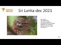 Online lezing BirdingBreaks: Vogelreis Sri Lanka