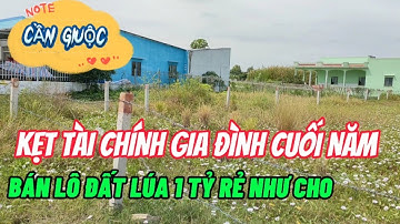 Bán Đất Cần Giuộc 963m2 Đất Lúa Siêu Rẻ SHR Chỉ 1 Tỷ