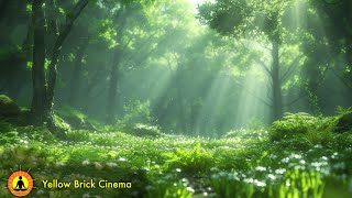 Stress Relief Music, Music for Sleeping, Meditation Song, Soft Music, Spring Ambience, Relaxing by Yellow Brick Cinema - Relaxing Music 3,123 views 3 weeks ago 3 hours