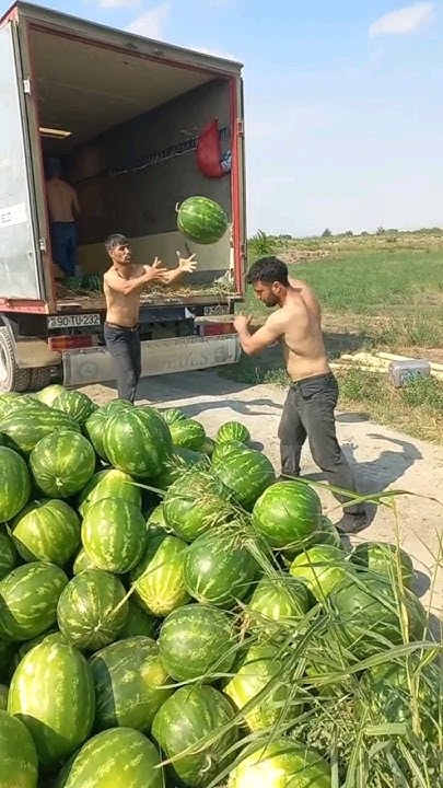 Погрузка 🍉💪🏻🚛 - YouTube