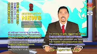 2729 NWN 7 beaver people help government of Czech Republic build dam for free 1080p