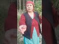 पहाड़ के जंगलों में पाई जाने वाली औषधिये गुणौ से भरपूर लिंगड की सब्जी ||#youtube #nature #phadivibe