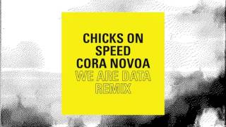 Chicks On Speed  - We Are Data (Cora Novoa Remix)