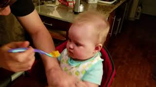 Ella's first solid food attempt