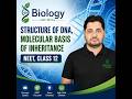 Structure of DNA / Molecular Basis Of Inheritance/NEET/Class 12