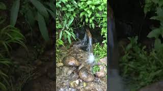 Buz Gibi Doğal Kaynak Suyu