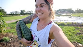 Baby Sized Zucchini (a talk about capacity) | VLOG