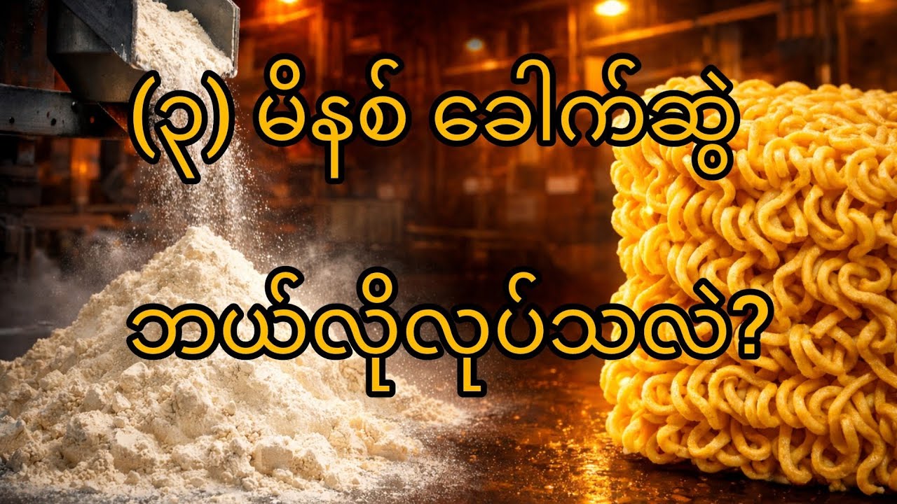 🍜 အသင့်စားခေါက်ဆွဲ (Instant Noodles) စက်ရုံ Video#InstantNoodles#FoodManufacturing#knowledge 