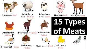 Types of Meat: List of Meats With Their Name and Picture