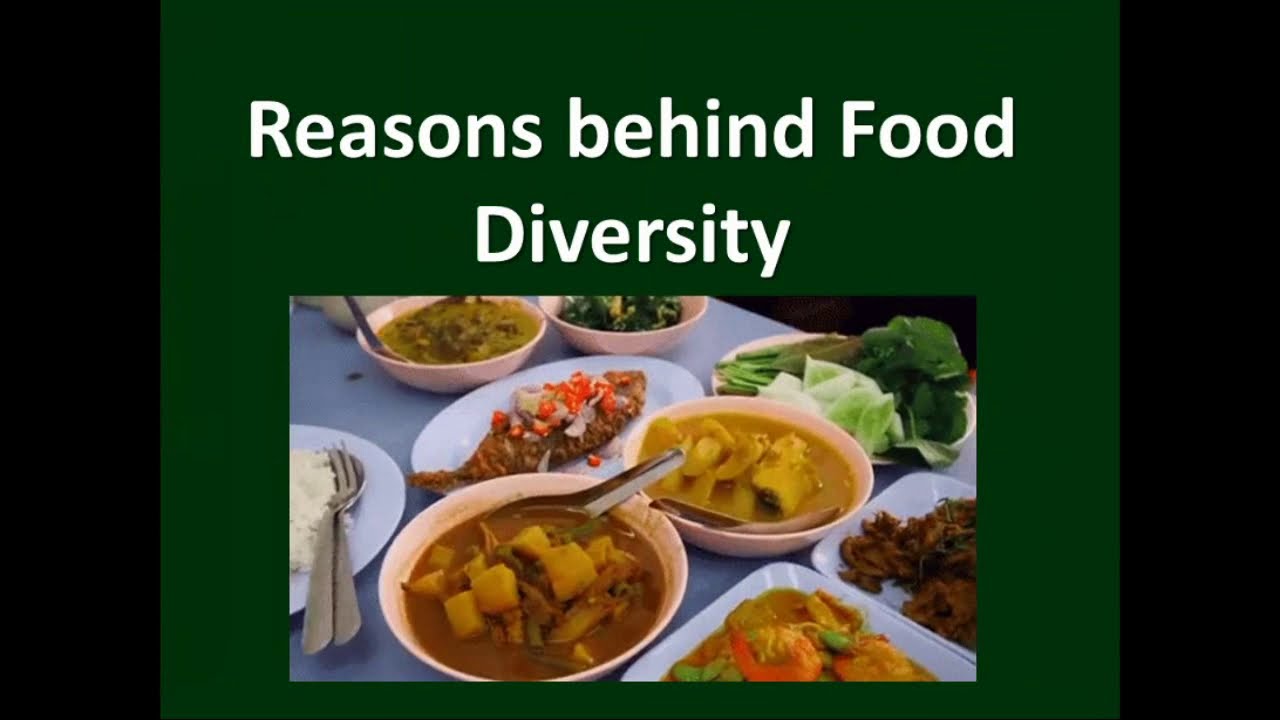 Food Diversity? Reasons behind the food diversity Class 3 CBSE Science YouTube