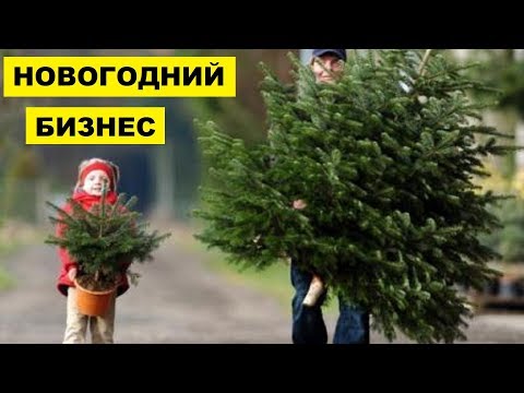 Продажа Елок на Новый Год как бизнес идея | Новогодний бизнес