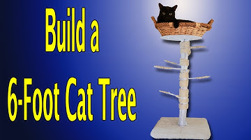 DIY: Crafting a 6-Foot Real Wood Cat Tree with Cozy Basket - Step-by-Step Guide!