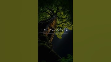 تلاوة خاشعه اسمع بقلبك 🍂🎧 #quran #قرآن #المصحف #راحة_نفسية #لايك #اكسبلور #trending