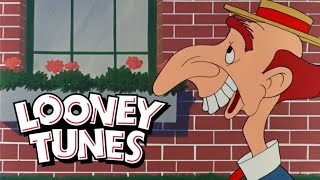 Looney Tunes | Dumb Character Compilation