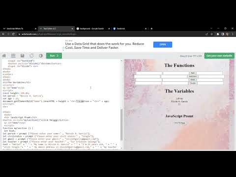 Function, Variables, JavaScript Prompt Explanation