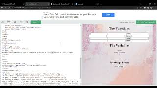 Function, Variables, JavaScript Prompt Explanation