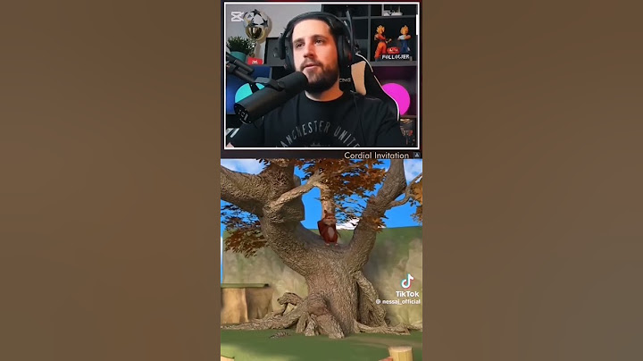 nessaj vs boci boci tarka