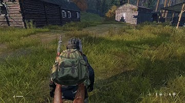 DayZ PS4 1.19 Stealth Kill Bug 2