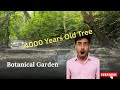 A Tour To Botanical Garden 2025 A Tour To Botanical Garden 2025