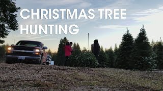 Christmas Tree Hunting