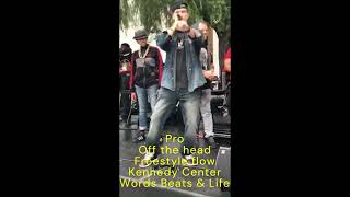 Pro Free Flow Words Beats and Life DC-