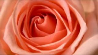 Romantic Love Songs   Instrumental Hits   YouTube