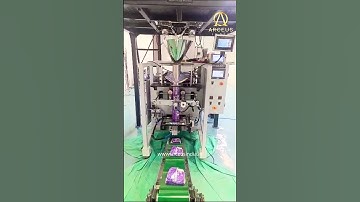 Fully Automatic Rice Packing Machine in Gusset Pouches #gusset #pouchpackingmachine #packing