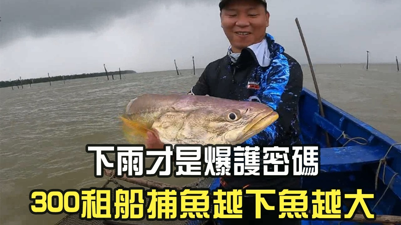 下雨才是爆護密碼！300 租船捕魚，越下魚越大#阿牛愛捕魚#趕海  #捕魚  #蘇裏南