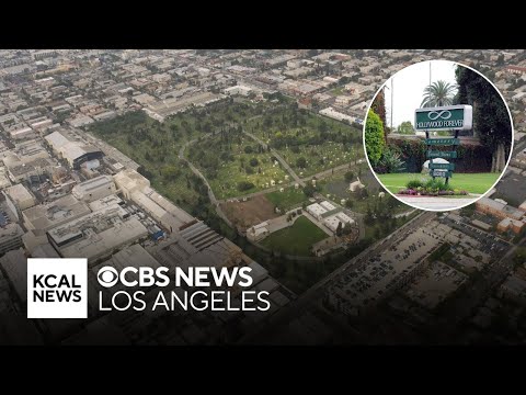 Hollywood Forever Cemetery | Look At This!
