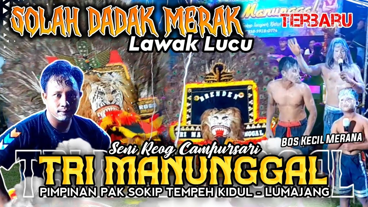 SOLAH DADAK MERAK & LAWAK LUCU REOG TRI MANUNGGAL 2024 BOS KECIL MERANA ❗Live Pandanwangi