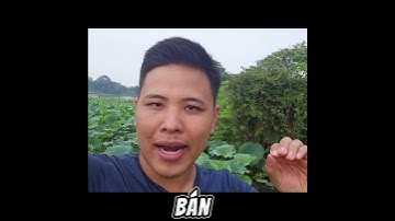 10 CÂU LỆNH CHAT GPT GIÚP BẠN LÀM CONTENT MARKETING #ai  #chatgpt  #contentcreator