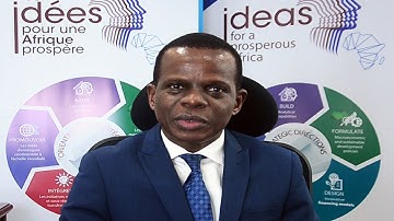 Skills for economic diversification in Central Africa is a vexed issue – Antonio Pedro