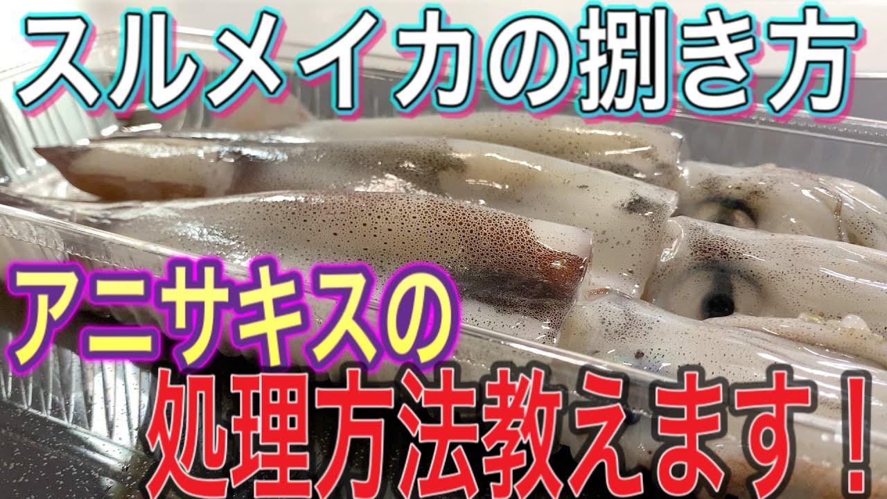 スルメイカの捌き方 アニサキスの処理方法教えます Youtube