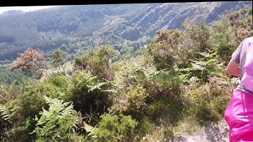Wicklow Way, Ireland : Stage 2 - Crone Woods to see Powerscourt Waterfall and the Glensulan river.