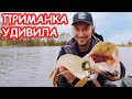 ЭТА ПРИМАНКА УДИВЛЯЕТ!!! ЛОВЛЯ ЩУКИ НА СПИННИНГ. РЫБАЛКА НА ЩУКУ. ПРИМАНКИ И ПРОВОДКИ НА ЩУКУ