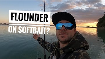 Searching for FLOUNDER on SOFT BAIT - NZ Flatties pt1