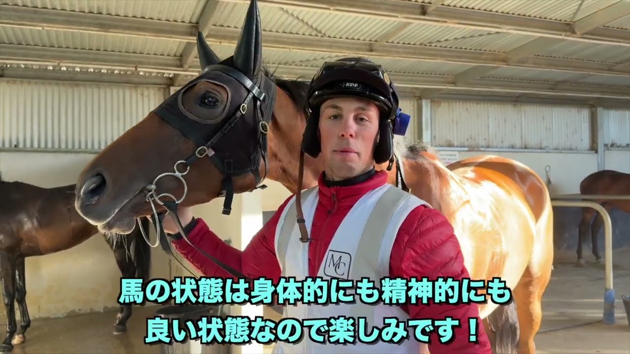 【カワ号】ホーシャム1400m戦前日の様子と調教助手コメント｜2026年2月23日