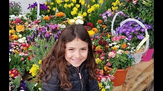 يالة بنا نجمع عصافير