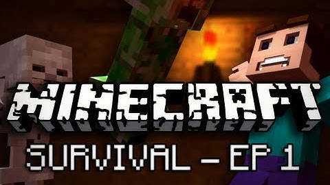 Minecraft: Survival Let